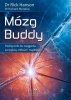 Mózg Buddy